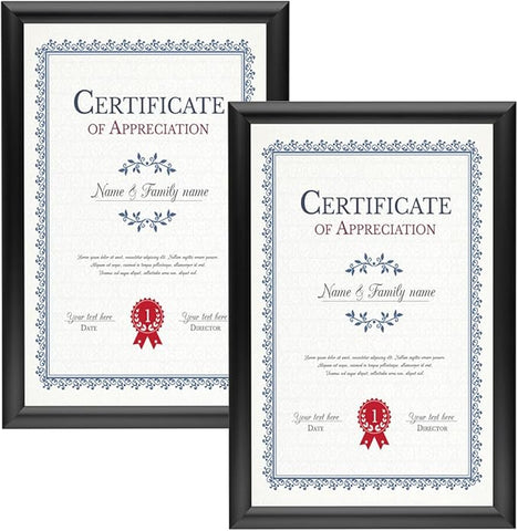 SnapeZo 2-Pack 11x17 Inches Black Document Notice Frames, Front-Loading Snap Frame, 1" Aluminum Profile, Wall Mounted