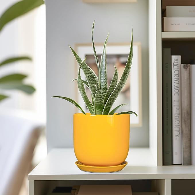 Plant Pot 5 Inch - Modern Round Indoor Ceramic Planter with Drainage Hole and Tray for Succulent Cactus Herbs Plants, Home House Garden Office Decor, Yellow