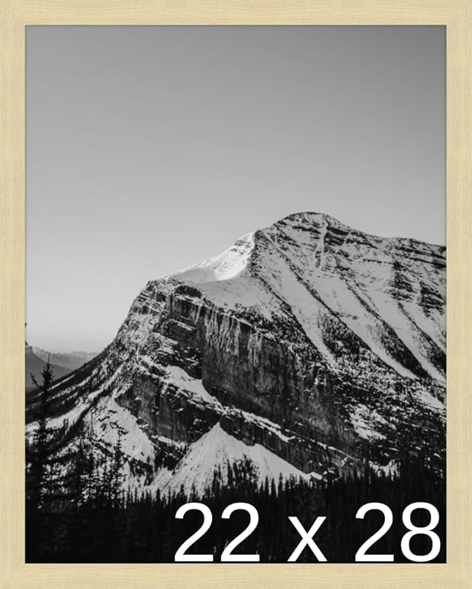 Frame It Easy 22 x 28 Wheat Wood Frame (Derby)