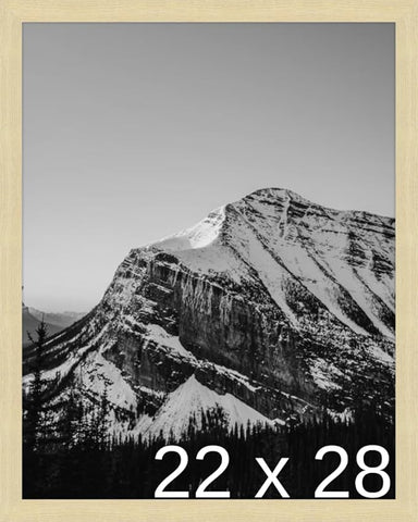 Frame It Easy 22 x 28 Wheat Wood Frame (Derby)