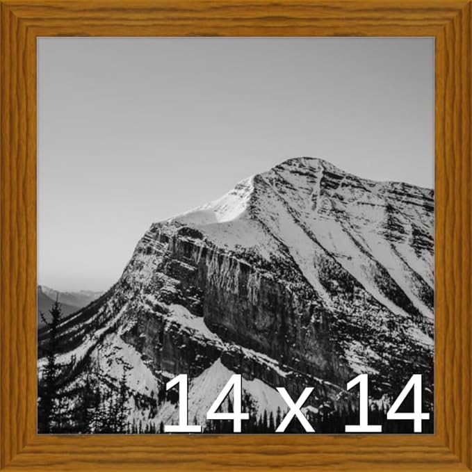 Frame It Easy 14 x 14 Hazel Wood Frame (Derby)