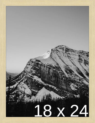 Frame It Easy 18 x 24 Wheat Wood Frame (Derby)