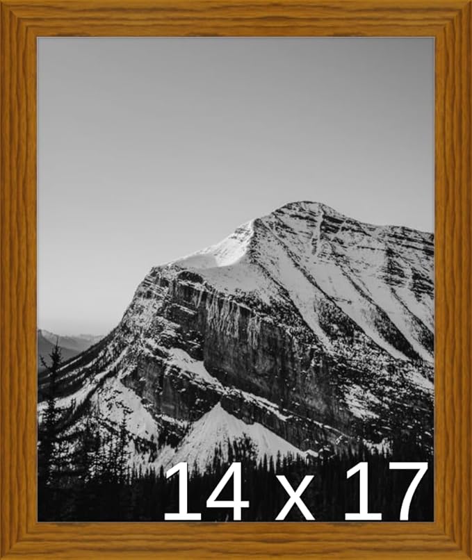 Frame It Easy 14 x 17 Hazel Wood Frame (Derby)