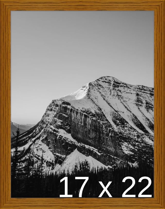 Frame It Easy 17 x 22 Hazel Wood Frame (Derby)