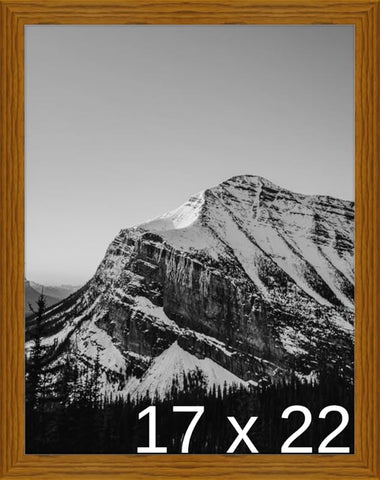 Frame It Easy 17 x 22 Hazel Wood Frame (Derby)