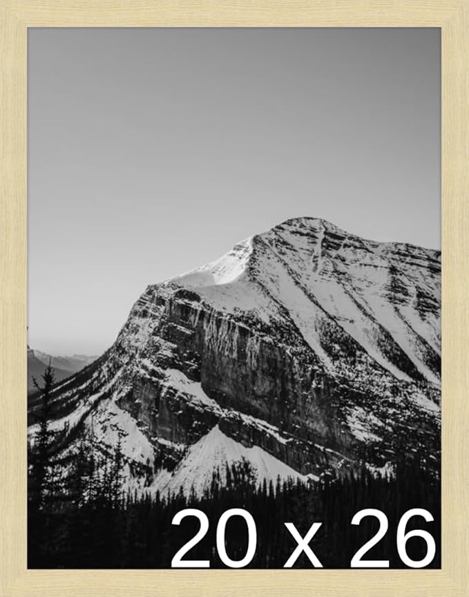 Frame It Easy 20 x 26 Wheat Wood Frame (Derby)