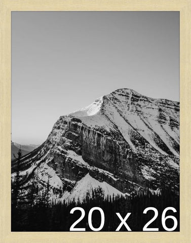 Frame It Easy 20 x 26 Wheat Wood Frame (Derby)