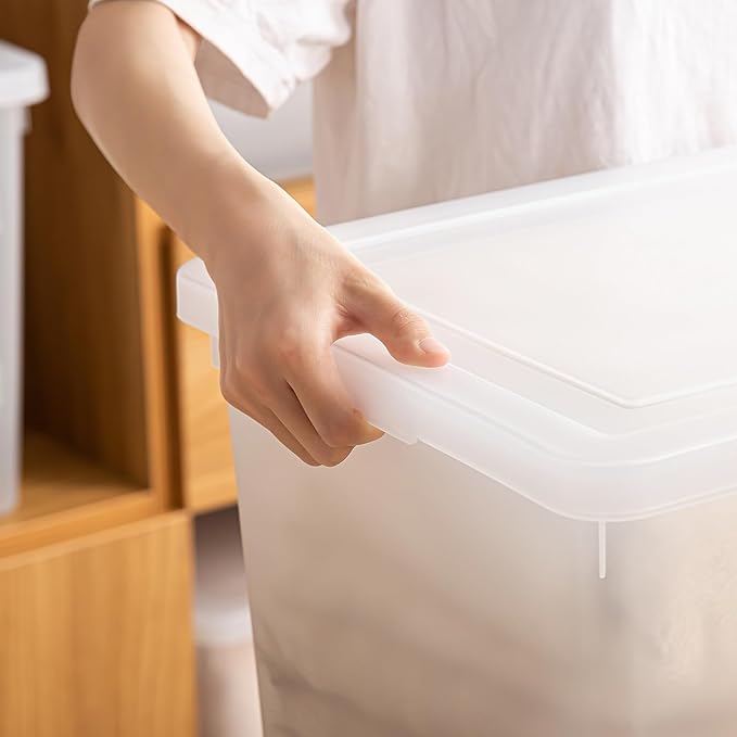 Stackable Plastic Storage Bins with Lids,Container to Organize Shoes and Crafts on Closet Shelves,Garage, Totes, Tubs Boxes Organizing 4 Pack (N-2L)