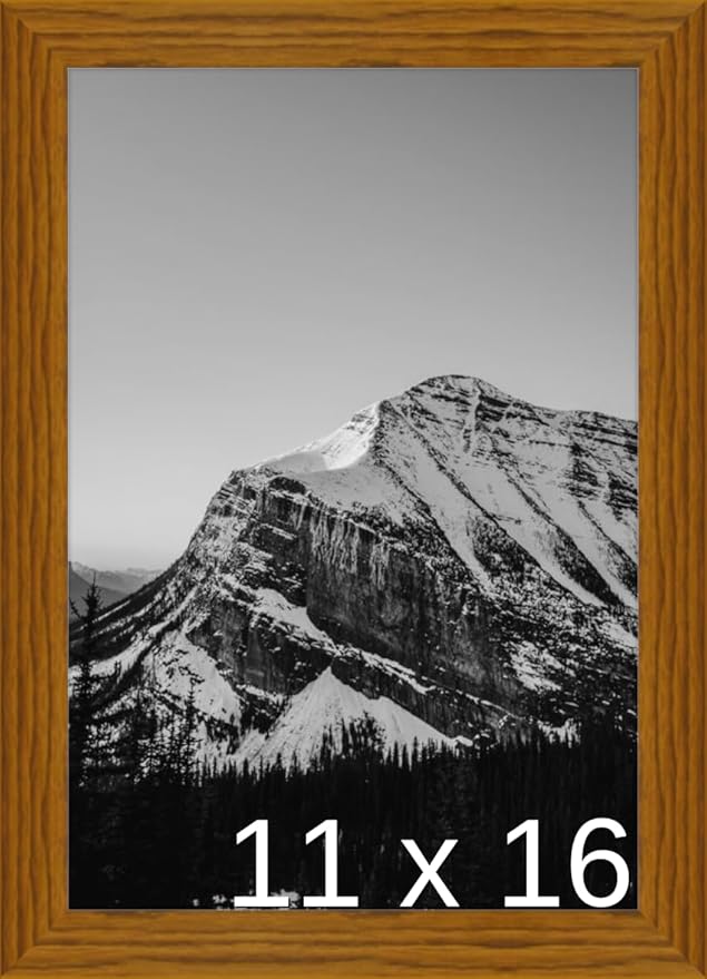 A3 - (11.7 x 16.5 inch) or 11 3/4 x 16 9/16 inch Frame (Derby)