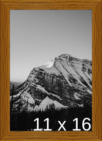 A3 - (11.7 x 16.5 inch) or 11 3/4 x 16 9/16 inch Frame (Derby)