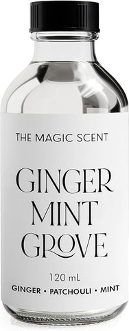 Ginger Mint Grove Diffuser Oil - Hotel & Home Luxury Scents - Diffuser Oil Scents for Home Designed for Use in All Diffusers - 4 fl oz, 120 mL