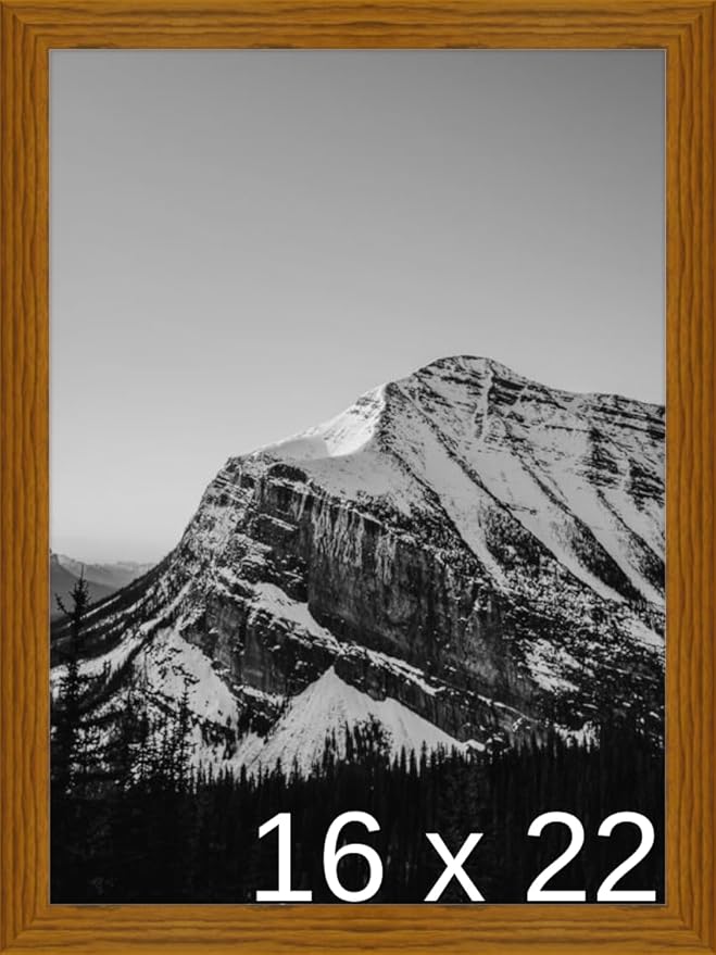 Frame It Easy 16 x 22 Hazel Wood Frame (Derby)