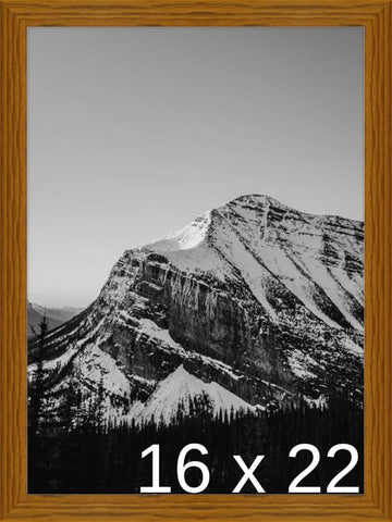 Frame It Easy 16 x 22 Hazel Wood Frame (Derby)