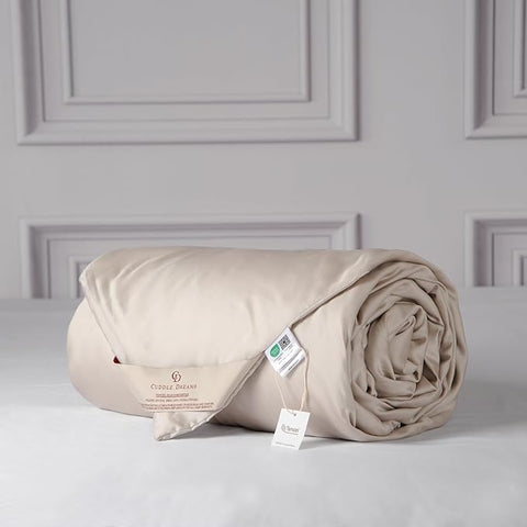 CUDDLE DREAMS Lightweight Silk Filled Comforter for Summer, Detachable Tencel Duvet Cover for Easy Care, Naturally Breathable (Light Pewter, King)