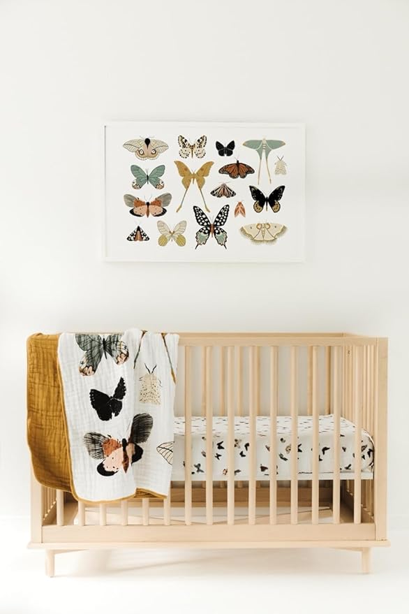 CLEMENTINE KIDS Reversible Quilts (Butterfly Collector)
