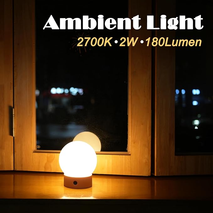 Small Cute Cordless Table Lamp Rechargeable, Battery Operated Shower Lamp Waterproof, Touch Dimmable Globe Ambient Light for Outdoor/Bedside/Patio/Dining (White)