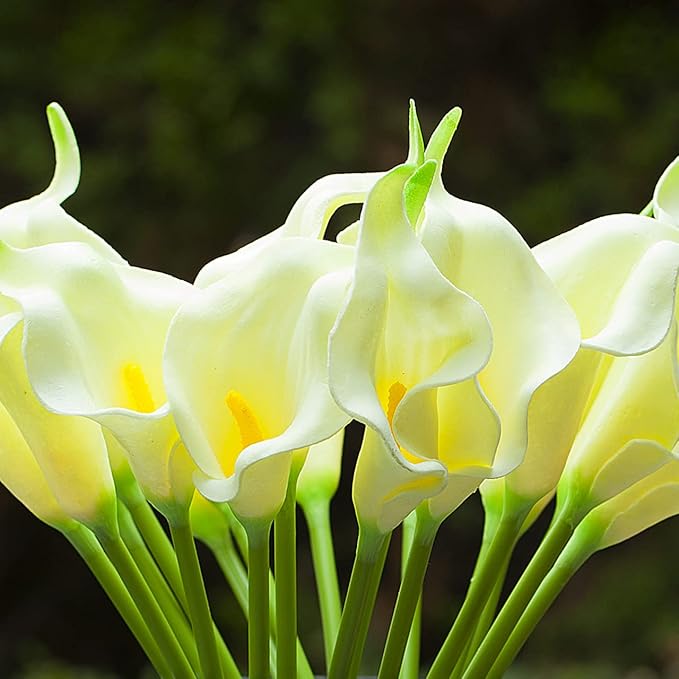 ENOVA FLORAL 20 Pieces Real Touch Calla Lilies Artificial Flowers with Vase, Faux Flowers Arrangement in Glass Vase with Faux Water for Tabletop Decor (Ivory)