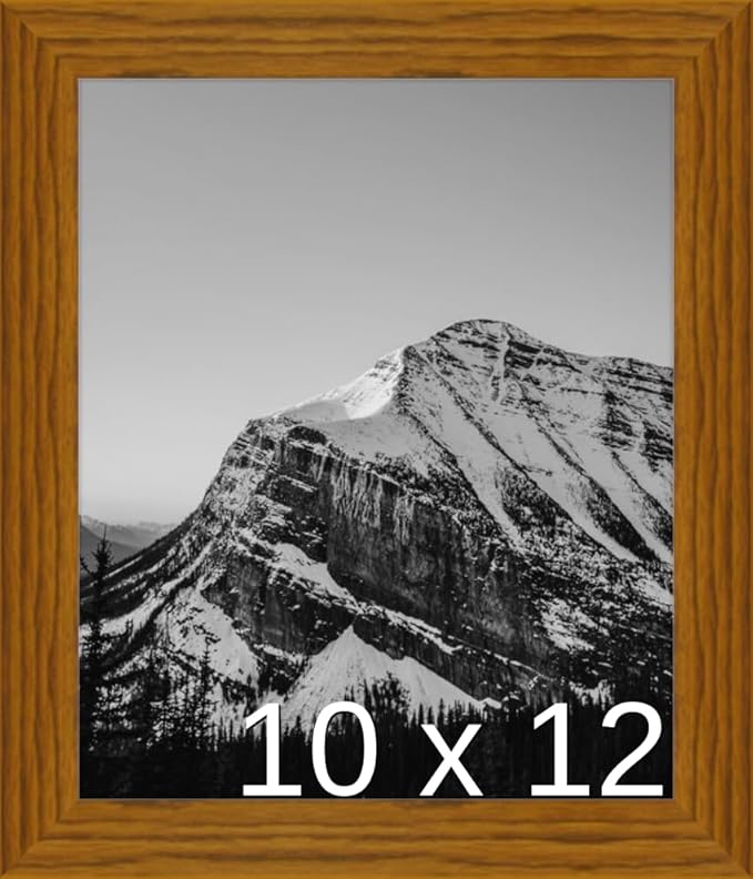 Frame It Easy 10 x 12 Hazel Wood Frame (Derby)