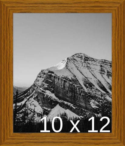 Frame It Easy 10 x 12 Hazel Wood Frame (Derby)