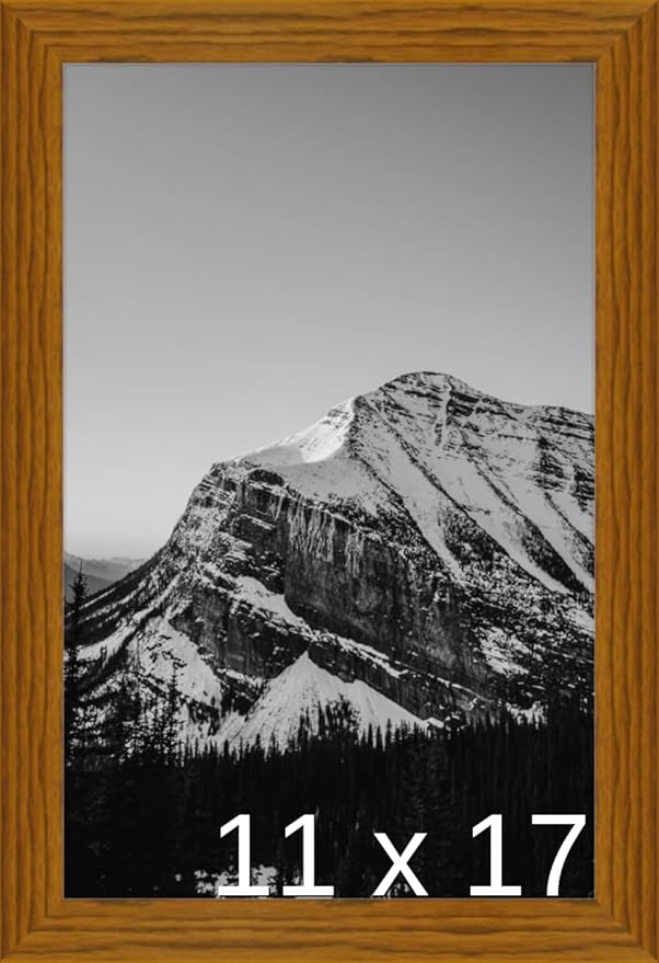 Frame It Easy 11 x 17 Hazel Wood Frame (Derby)