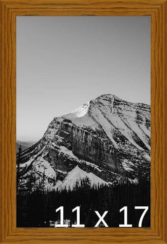 Frame It Easy 11 x 17 Hazel Wood Frame (Derby)