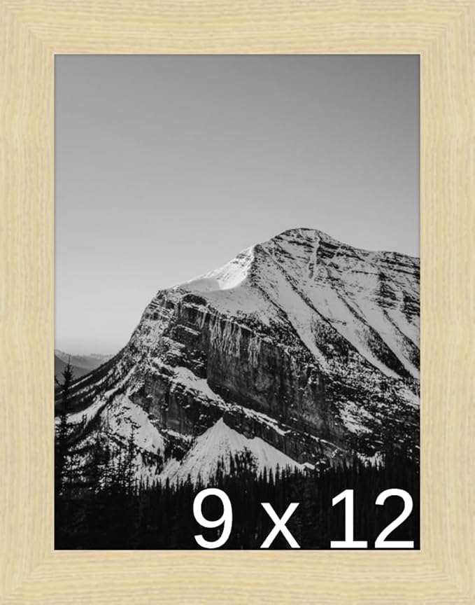 Frame It Easy 9 x 12 Wheat Wood Frame (Derby)