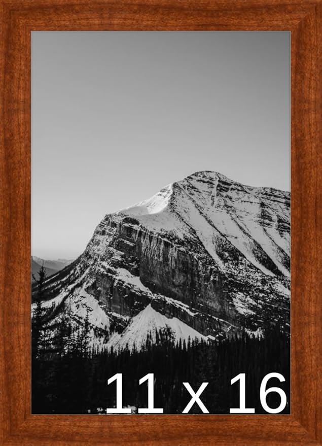 A3 - (11.7 x 16.5 inch) or 11 3/4 x 16 9/16 inch Frame (Derby)