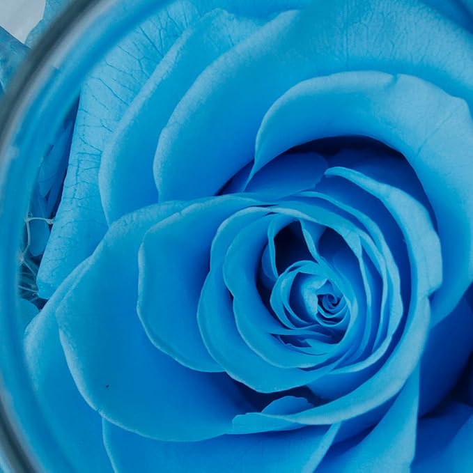 Preserved Real Roses with Colorful Mood Light Wishing Bottle,Eternal Rose，Never Withered Flowers, Christmas Anniversary Valentine's Mother's Day,a Gifts for Women 4.3inch 1pcs（Light Blue）
