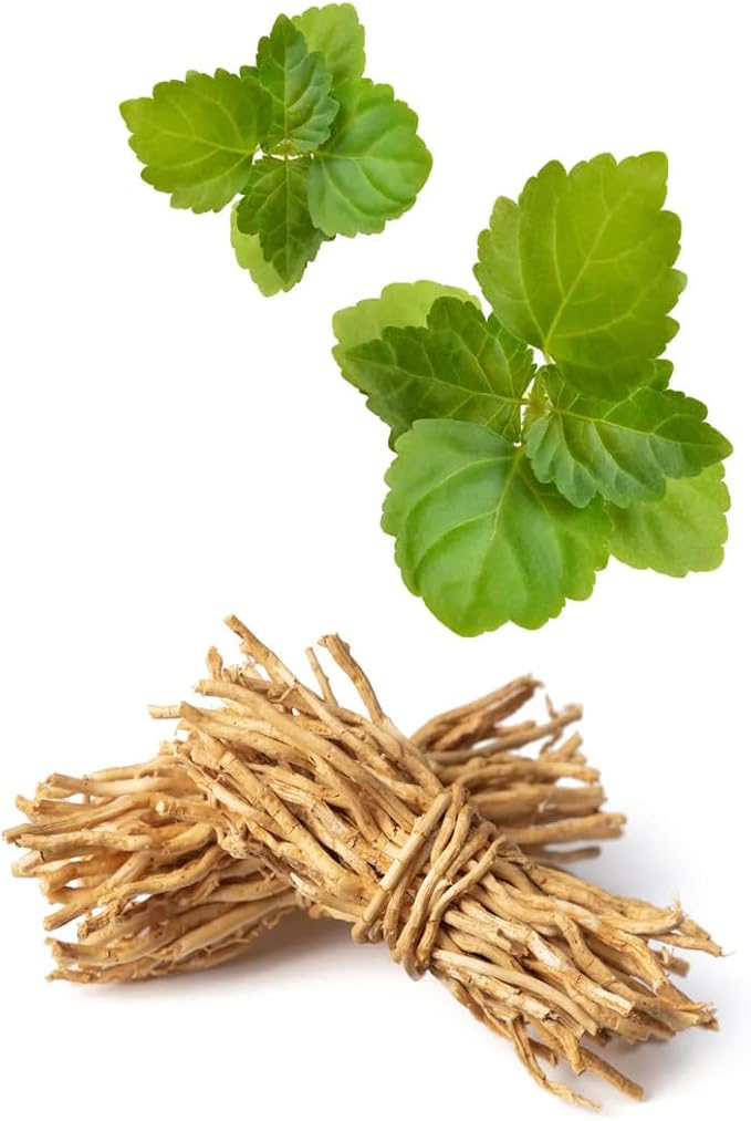 VINEVIDA [Gallon (128 Fl Oz)] Scent NO. 1200 Fragrance Oil for Cold Air Diffusers, Aromatic Notes of Aniseed, Incense, Balm & Patchouli Essential Oils for Diffuser Oil Refill & Air Freshener Spray