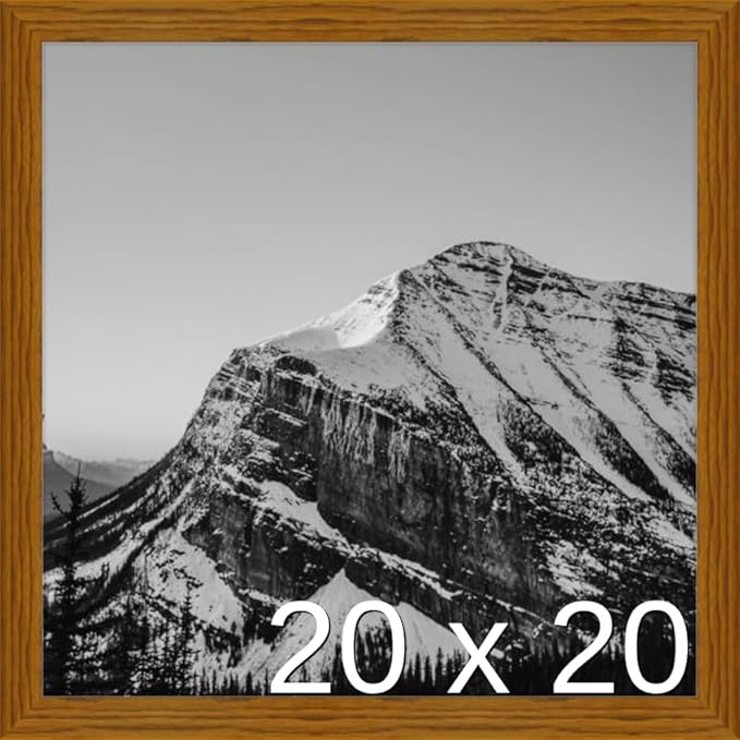 Frame It Easy 20 x 20 Hazel Wood Frame (Derby)