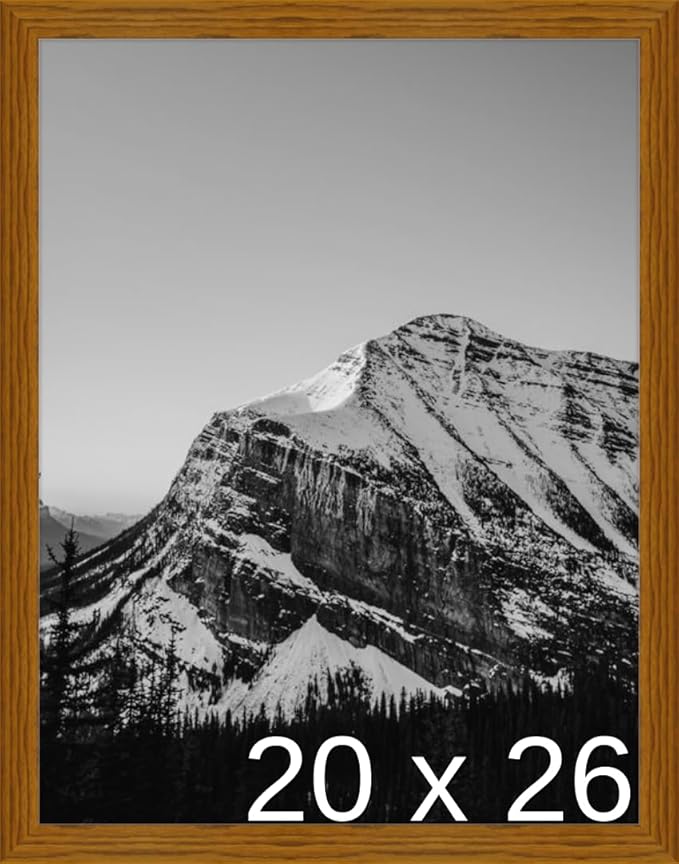 Frame It Easy 20 x 26 Hazel Wood Frame (Derby)