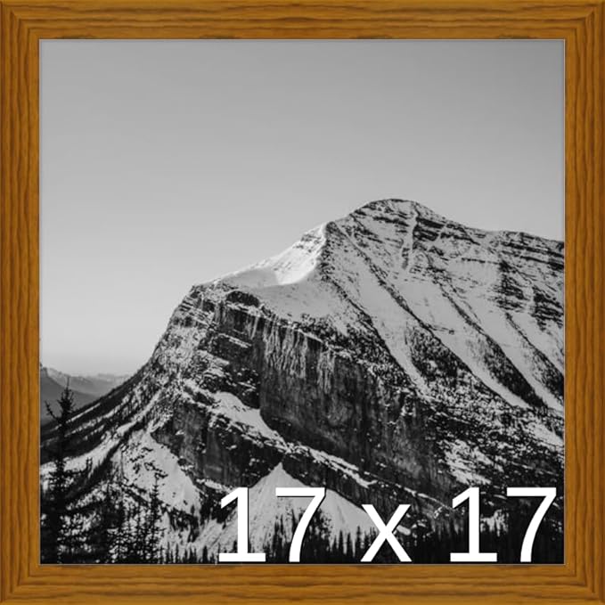 Frame It Easy 17 x 17 Hazel Wood Frame (Derby)