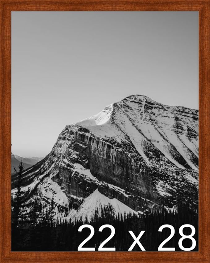 Frame It Easy 22 x 28 Russet Wood Frame (Derby)