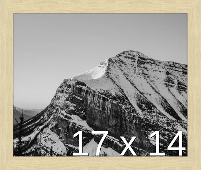 Frame It Easy 17 x 14 Wheat Wood Frame (Derby)