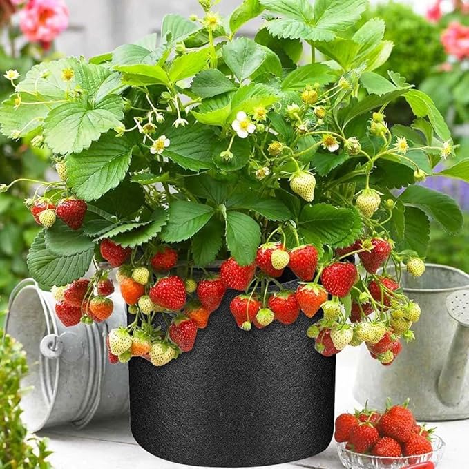 100 Pack Plant Grow Bags Bulk, Heavy Duty Grow Bags Nonwoven Plants Bag with Handles, Breathable Plant Growing Bags for Garden Fruit Vegetable Flower (10 Gallon 100 Pack)