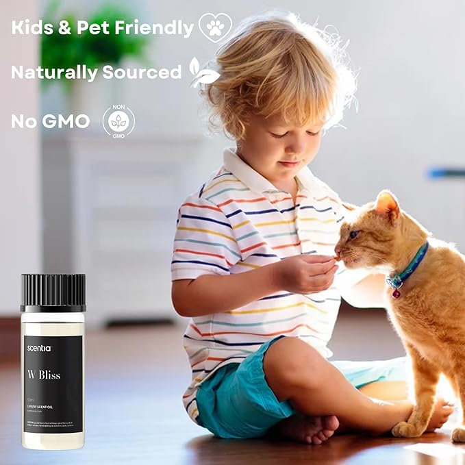 W Magic Hotel Diffuser Oil Inspired by W Signature Hotel - 50 mL 1.69 fl oz - Fragrance Oil Blend Bergamot, Lemongrass & Jasmine for Aromatherapy Diffusers and Humidifiers