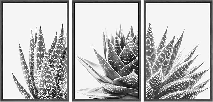 SIGNWIN Framed Wall Art Print Set Trio of Zebra Succulents Floral Plants Photography Modern Art Minimalist Closeup Dramatic Black and White for Living Room, Bedroom, Office - 24"x36"x3 Black