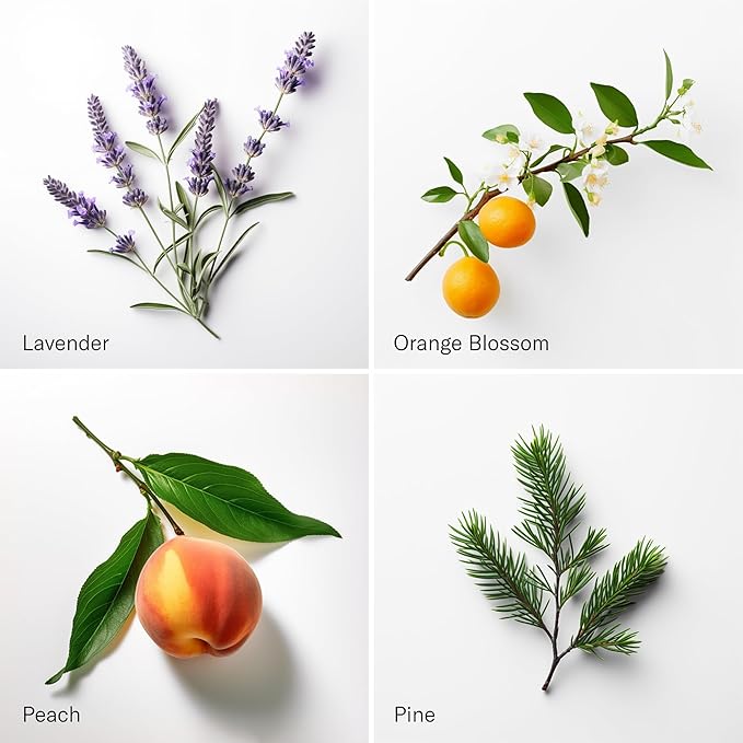 AromaTech The Hotel & White Tea & Thyme Set | Aroma Diffuser Essential Oils Blend of Peach, Red Rose, Pine, White Tea, Thyme, Amber - 120 Milliliter