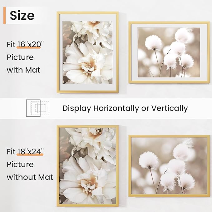 18x24 inch Picture Frame, 18x24 Photo Frames with 16x20 Removable Mat - High Definition Plexiglass - Vertical and Horizontal Display - Wall Hanging Poster Frame - Gold, 5 Pack