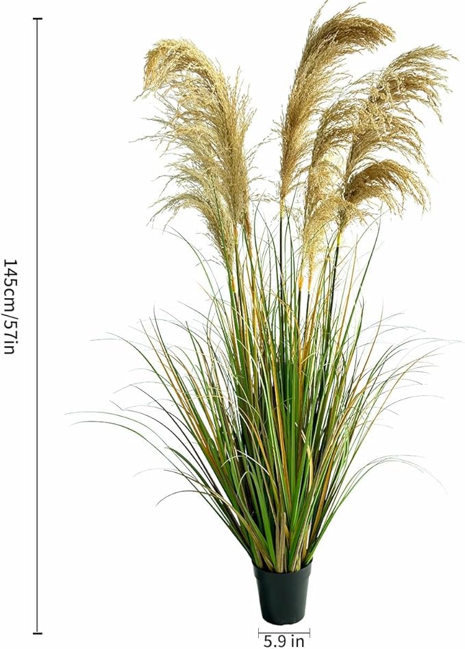 Alonfala - 57" (2-Pack) Artificial Pampas Grass in Stylish Planters: Elevate Every Corner with Tranquil Ambiance. Perfect for Indoor Decor, Housewarming, and New Home Celebration.