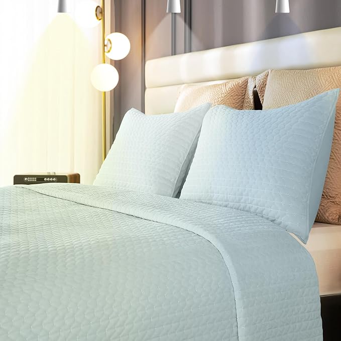 Velvet Quilt Queen Size, Luxurious Quilted Bedspread Bedding Set, Ultra Soft Cozy Coverlet with Brushed Back, Lightweight Reversible Comforter for All Season, Pale Blue