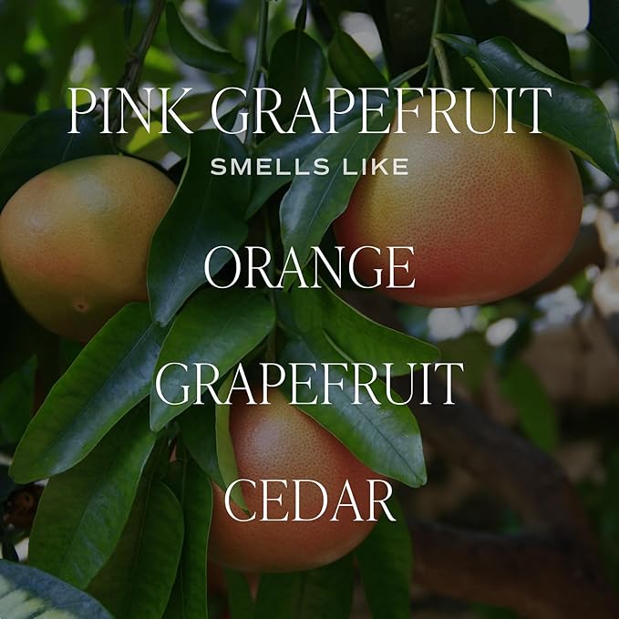 Sweet Water Decor Pink Grapefruit Clear Reed Diffuser – Room Decor Aesthetic with Long-Lasting Premium Fragrance of Grapefruit, Orange, Strawberry, Jasmine & Cedar for 4 Months – Ideal for Home Décor