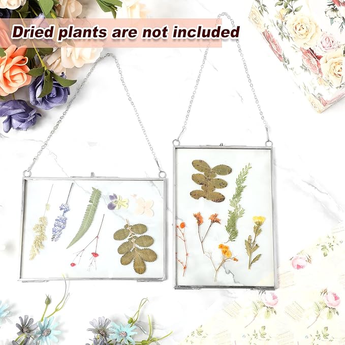Barydat 12 Pack Pressed Flowers Glass Frames, 5 x 7 Inch Brass Hanging Floating Frame with Chain, Double Glass Photo Display for Dried Flowers, Plant Specimen, Artwork Display (Silver)