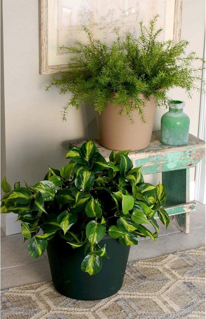 20 inch Round Classic Planter - Plastic Plant Pot for Indoor Outdoor Plants Flowers Herbs, Chocolate