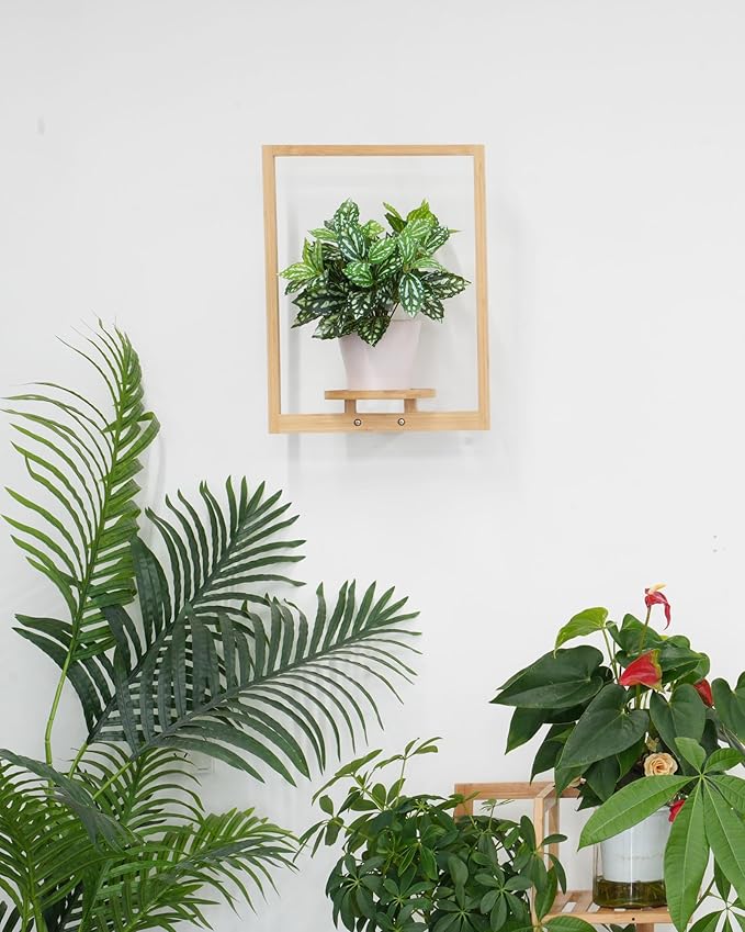 yadoker Wall Planters for Indoor Plants,Bamboo Hanging Plant Holders, Wall Decor Plant Stand, 3-Pack Window Plant Shelves for Living Room & Entryway