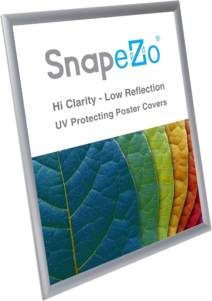 SnapeZo 2-Pack 18x24 Inches Silver Poster Frames, Front-Loading Snap Frame, 1" Aluminum Profile, Wall Mounted