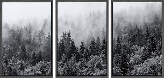 SIGNWIN Framed Canvas Print Wall Art Set Black & White Misty Mountain Forest Nature Wilderness Photography Modern Art Landscape Relax/Calm for Living Room, Bedroom, Office - 16"x24"x3 Black