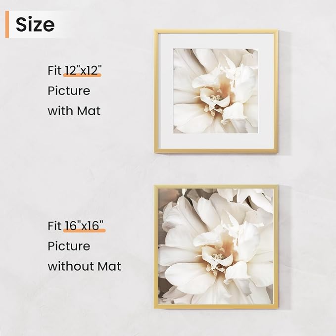 16x16 inch Picture Frame, 16x16 Photo Frames with 12x12 Removable Mat - High Definition Plexiglass - Vertical and Horizontal Display - Wall Hanging Frame - Gold, 3 Pack