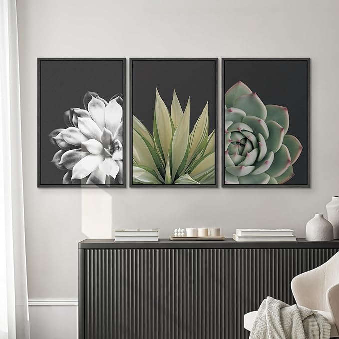 SIGNWIN Framed Wall Art Print Set Echeveria Succulent Variety Nature Plants Photography Modern Art Closeup Relax/Calm Dark Black and White for Living Room, Bedroom, Office - 16"x24"x3 Black