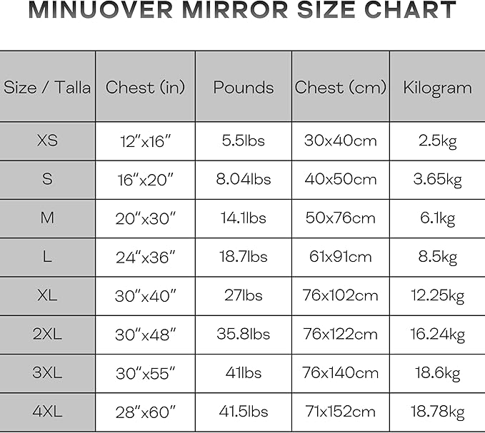 Wall Mount Small Mirror, Brushed Silver Metal Framed Rounded Corner Rectangular Makeup Mirror for Bathroom, Bedroom, Living Room (12" x 16", Silver)